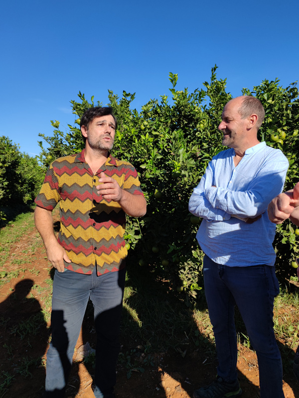 Jonás Morell erzählt uns auf der Orangenplantage mehr zum Anbau. neben ihm steht Christian von Naturkost Schrammrten und unterhalten sich. Einer trägt ein bunt gemustertes Hemd, der andere ein hellblaues Hemd.