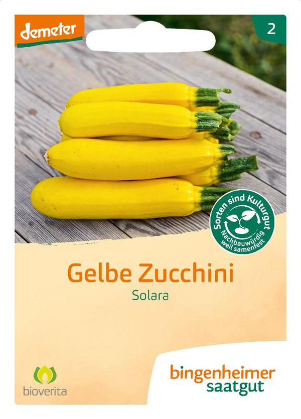 Produktfoto zu Saatgut Gelbe Zucchini Solara