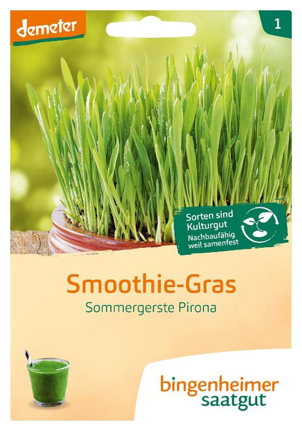 Produktfoto zu Saatgut Smoothie-Gras