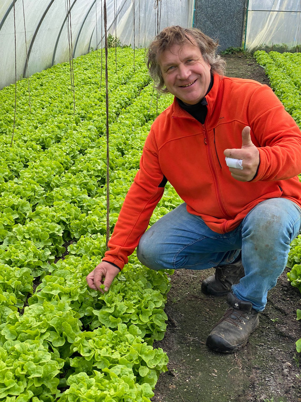 Grünland Partner Jens Kulow im Folientunnel mit Salaten
