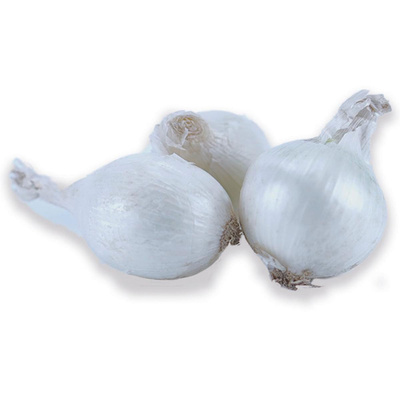 Produktfoto zu Zwiebeln weiss