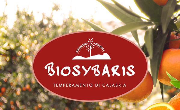 KI generiert: Logo von Biosybaris, einer Bio-Landwirtschaft, mit Orangen im Hintergrund. Text: "Agricoltura Biologica" und "Temperamento di Calabria".