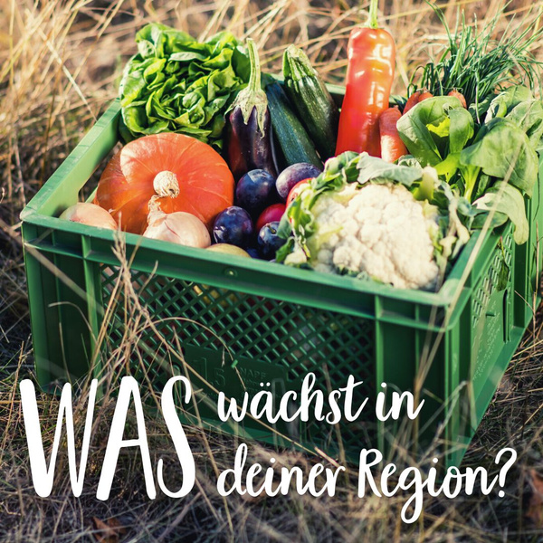 Grünland Regionalkiste mit frischem Gemüse gefüllt auf Stroh