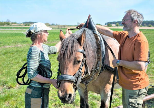 Grünland Bio Lieferant Hollerbuschhof