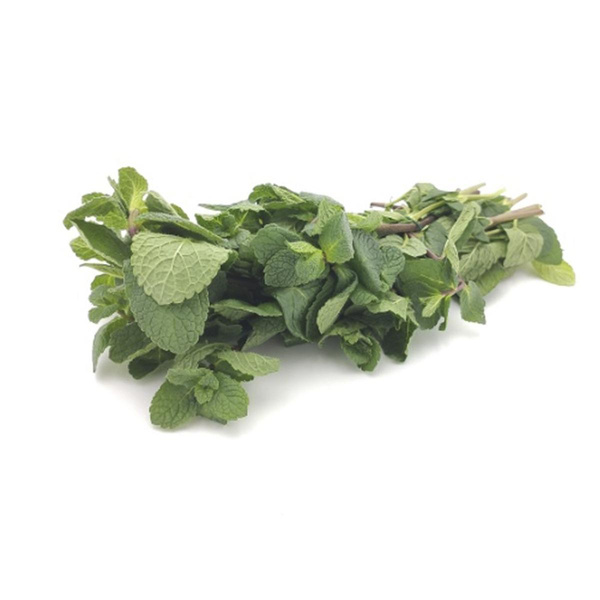 Produktfoto zu Minze