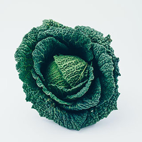 Produktfoto zu Wirsingkohl