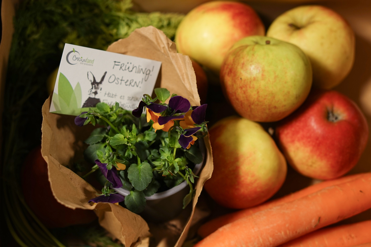 Hornveilchen als Frühlingsgruss in der Biokiste
