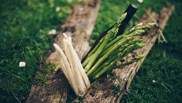 Felix Neumann auf einem Mangoldfeld mit buntem Mangold in der Hand