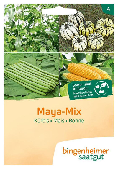 Produktfoto zu Saatgut Mischung Maja-Mix, Kürbis, Mais, Bohne
