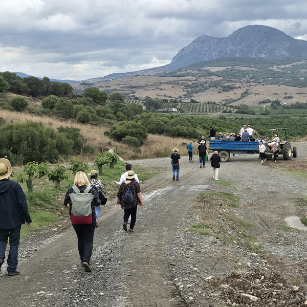 KI generiert: Auf dem Bild ist eine Gruppe von Menschen zu sehen, die über einen ländlichen Weg in einer hügeligen Landschaft spazieren. Im Hintergrund steht ein Traktor mit einem Anhänger, auf dem einige Personen sitzen.