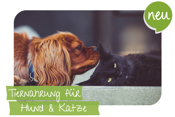 brauner Hund und schwarze Katze liegen nebeneinander