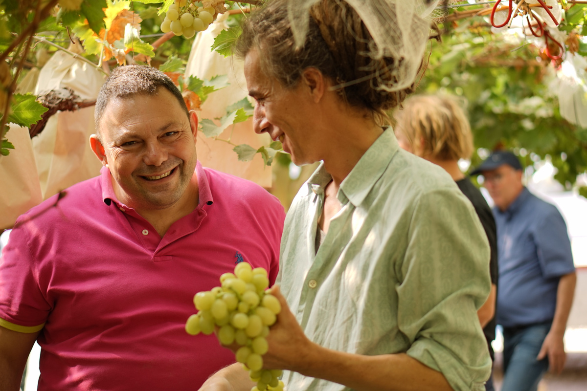 Dario und Felix mit Trauben in der Hand auf Traubenplantage in Sizilien