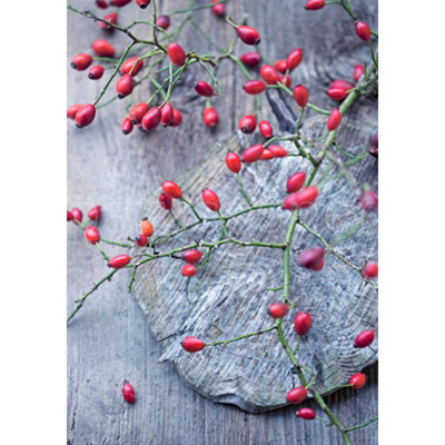 Produktfoto zu Postkarte Herbstfreude