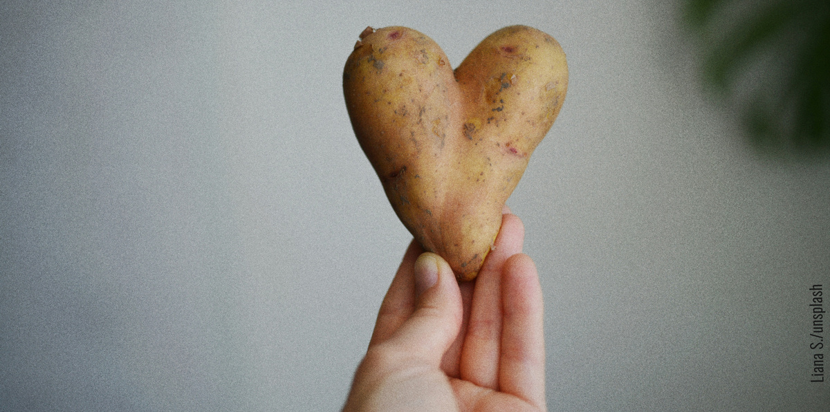 Eine Hand hält eine herzförmige Kartoffel, die die Form eines Herzens hat, vor einem neutralen Hintergrund.