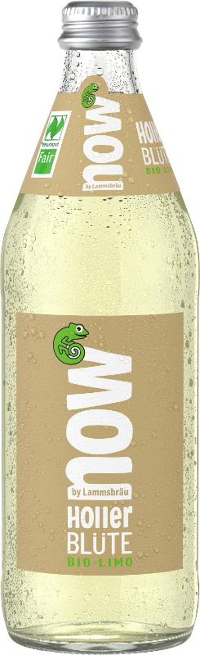 Produktfoto zu Kiste now Holler Blüte 10x 0,5l