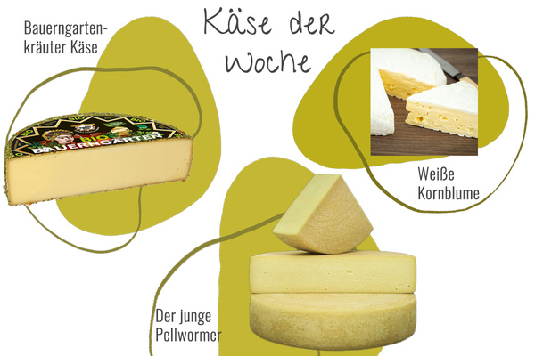 KI generiert: Das Bild zeigt drei Käsesorten als "Käse der Woche": Bauerngartenkräuter Käse, Der junge Pellwormer und Weiße Kornblume. Die Käsesorten sind mit Bildern und Beschriftungen dargestellt.