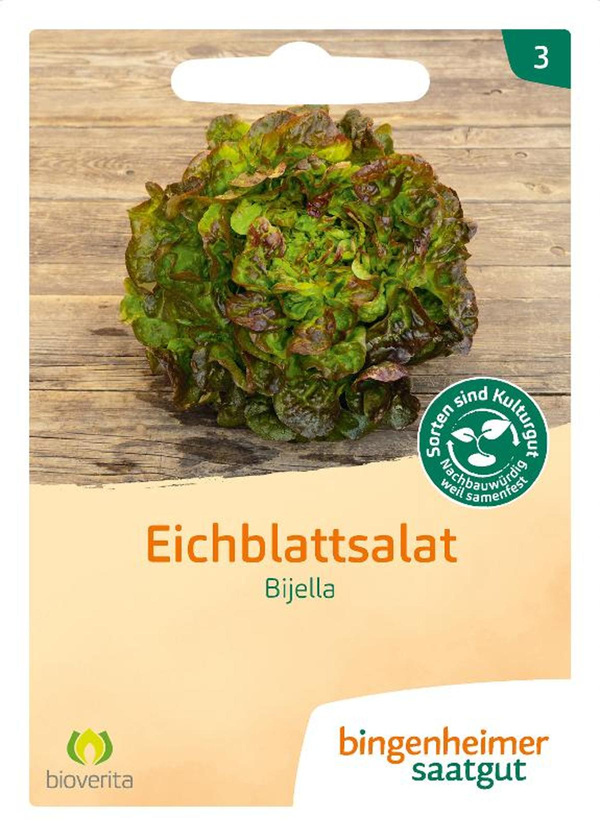 Produktfoto zu Saatgut Eichblattsalat Bijella