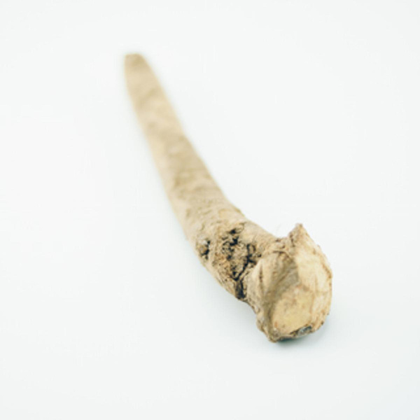 Produktfoto zu Meerrettich