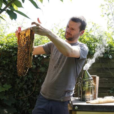 Kolja von der Imkerei die Wabe mit Honigwabe