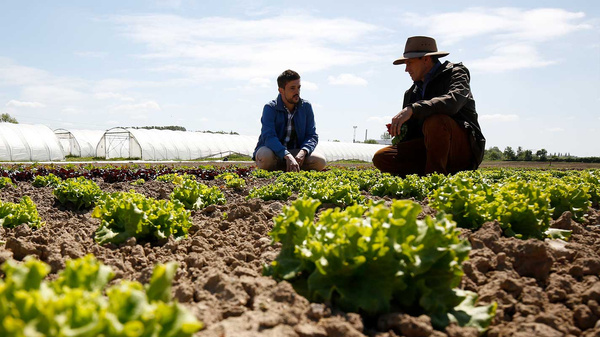 Grünland Bio Lieferant Blattfrisch