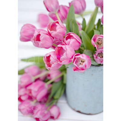 Produktfoto zu Postkarte Tulpen vom Markt