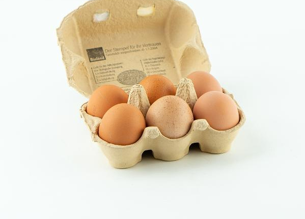 6 Eier in Eierkarton