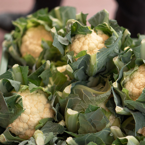 Grünlandfest Blumenkohl von Hof Brummelkamp