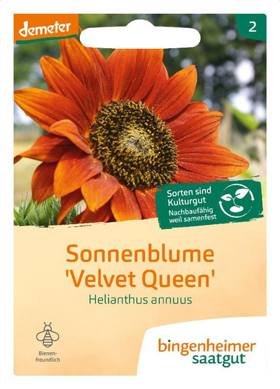 Produktfoto zu Saatgut Sonnenblume Velvet Queen