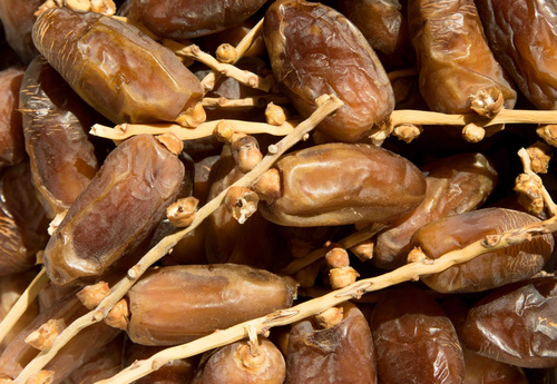 Grünland Bio Lieferant Narafood