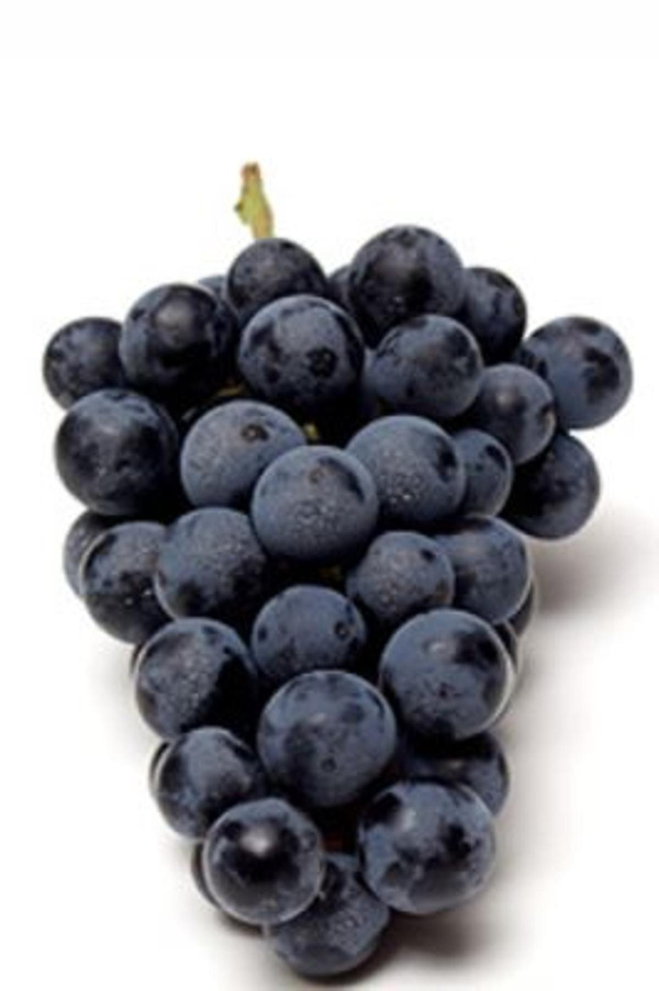 Produktfoto zu Trauben schwarz kernlos