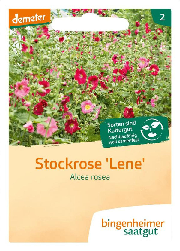 Produktfoto zu Saatgut Stockrose