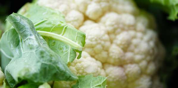 KI generiert: Nahaufnahme eines Blumenkohls mit grünen Blättern.