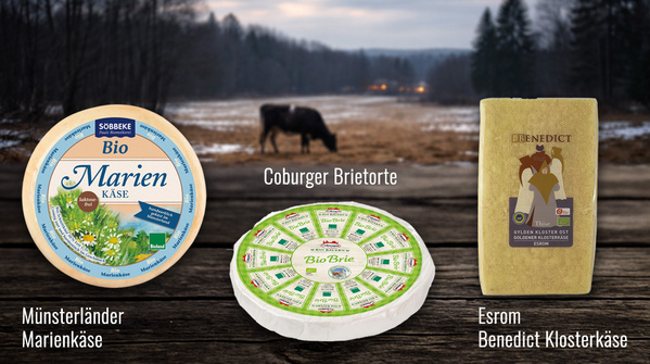 KI generiert: Drei Käsesorten vor einem Landschaftshintergrund: Münsterländer Marienkäse, Coburger Brietorte, Esrom Benedict Klosterkäse.