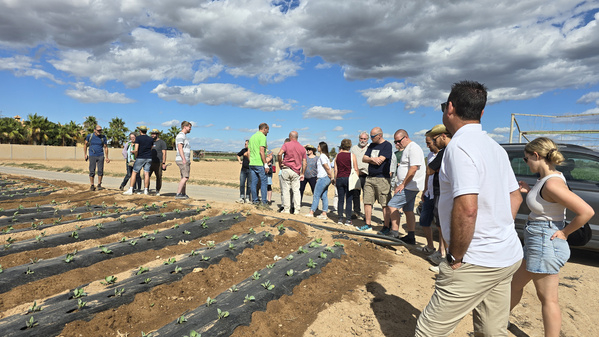 KI generiert: Eine Gruppe von Menschen betrachtet ein Feld mit jungen Pflanzen unter freiem Himmel. Der Fokus liegt auf der landwirtschaftlichen Umgebung und den Personen bei einer Besichtigung oder Führung.