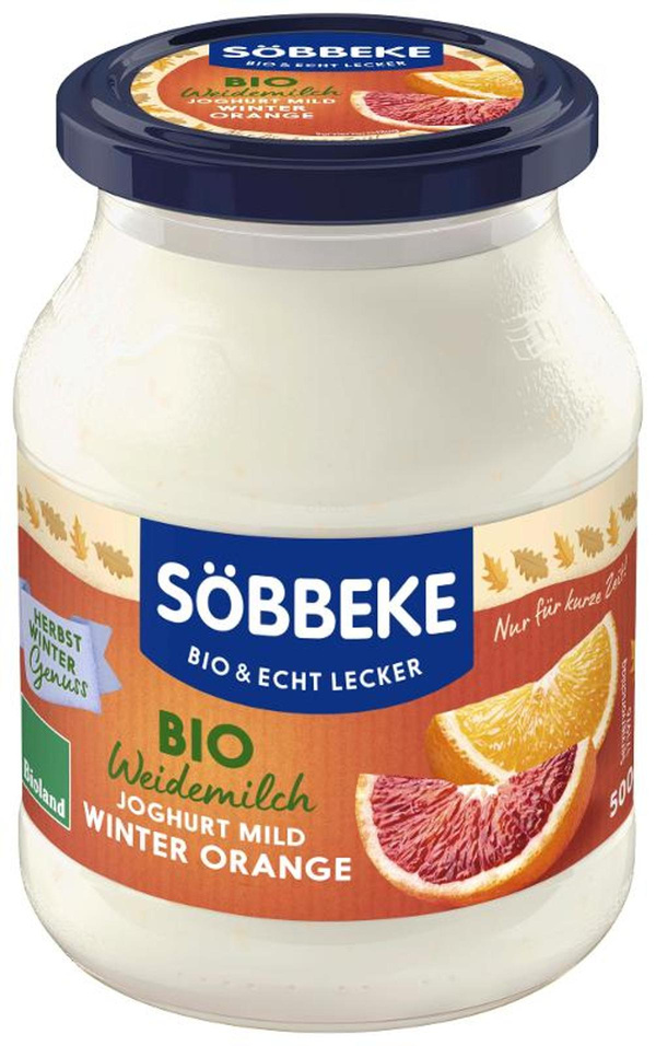 Produktfoto zu Joghurt Winter Orange 500g