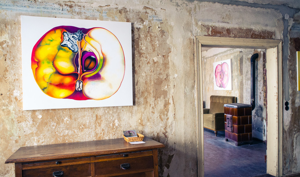 Austellung mit Bildern in einem alten Haus