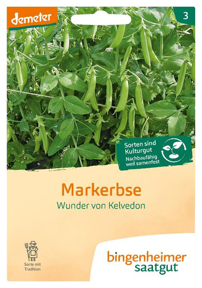 Produktfoto zu Saatgut Markerbse Wunder von Kelvedon
