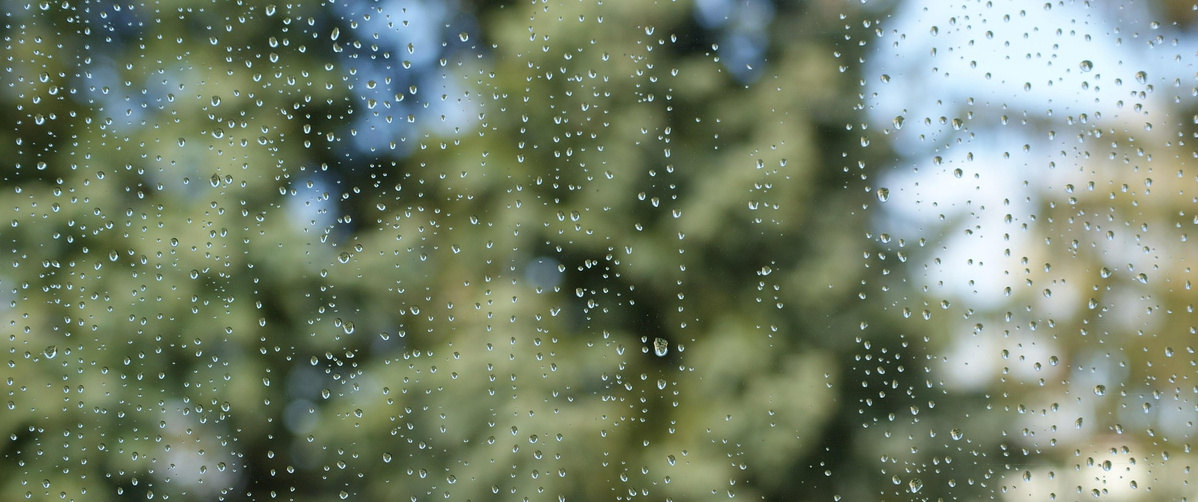 KI generiert: Wassertropfen an einer Glasscheibe mit verschwommenem Hintergrund von Bäumen.