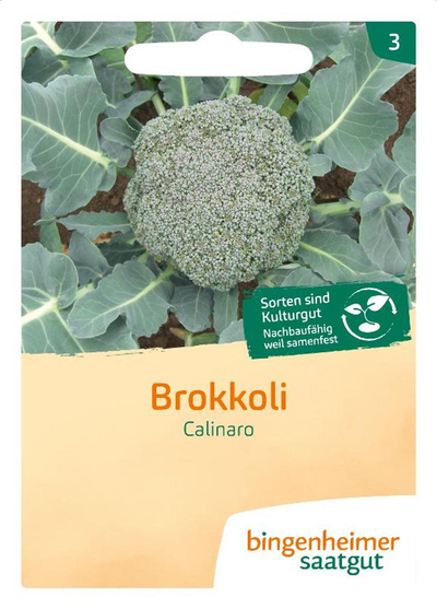 Produktfoto zu Saatgut Brokkoli Calinaro