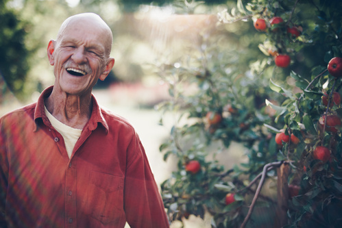 Grünland Bio Lieferant Hof lachapfel