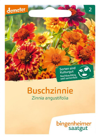 Produktfoto zu Saatgut Buschzinnie