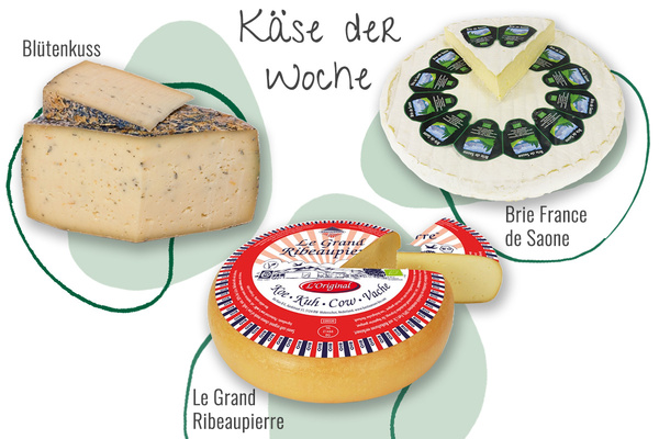 Drei Käsesorten aus der Abokiste in einem Bild
