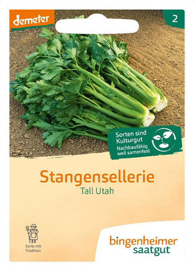 Produktfoto zu Stangensellerie Tall Utah