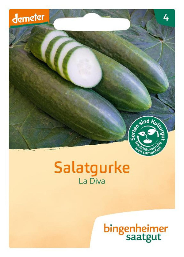 Produktfoto zu Saatgut Salatgurke
