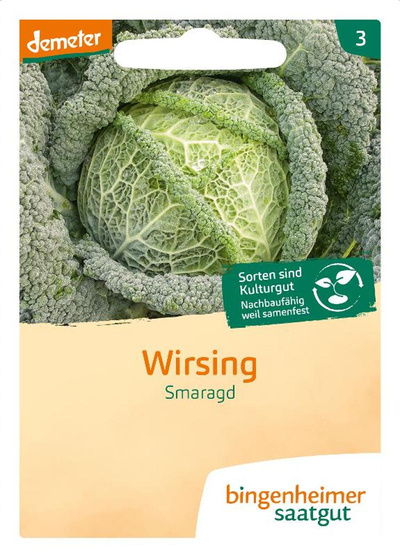 Produktfoto zu Saatgut Wirsingkohl Smaragd