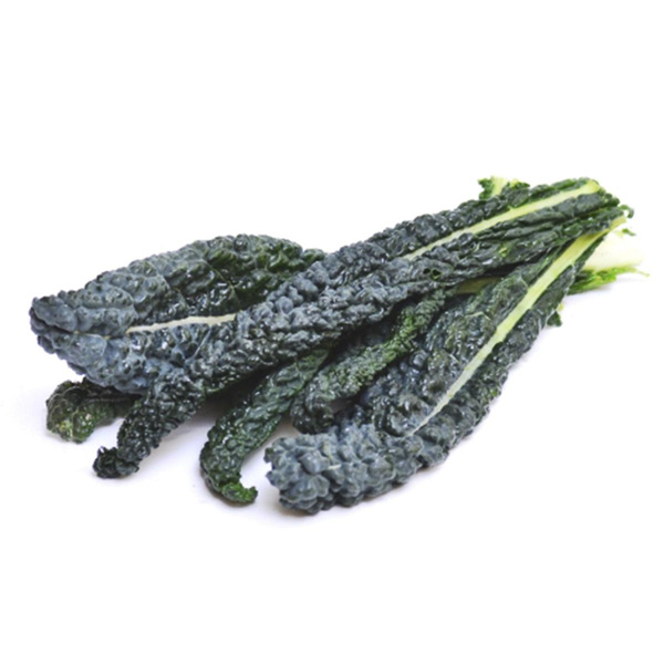 Produktfoto zu Palmkohl (Schwarzkohl)