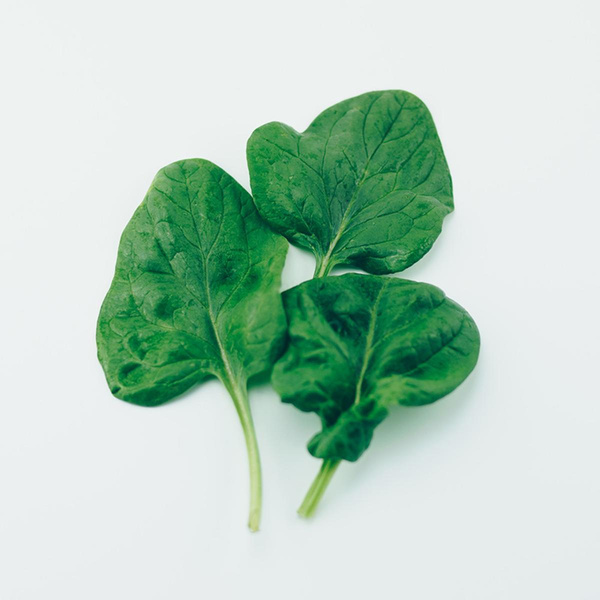 Produktfoto zu Babyspinat