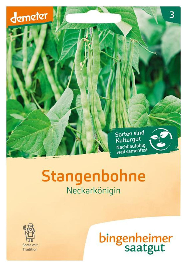 Produktfoto zu Saatgut Stangenbohne Neckarkönigin