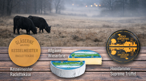 Unser Käse-Trio der Woche