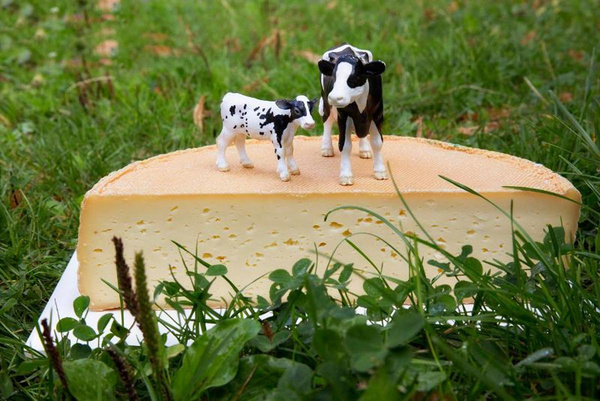 Produktfoto zu Dannauer Natur, 50%